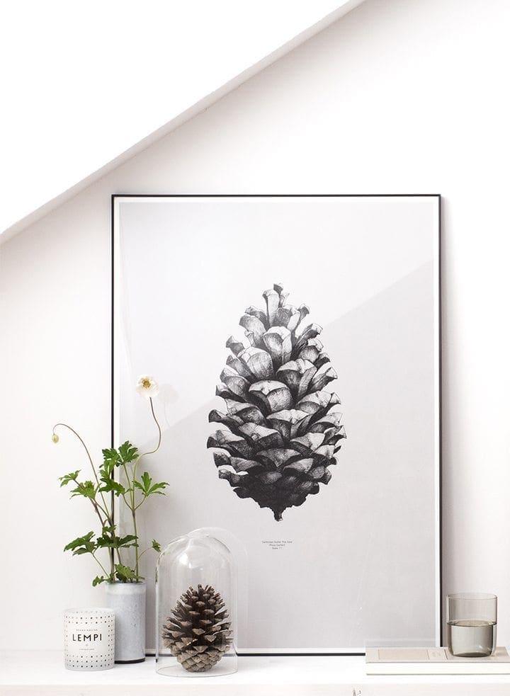 Pine cone | Via theposterclub.com