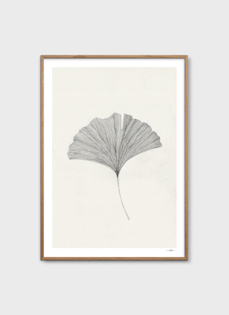 Ginkgo Leaf