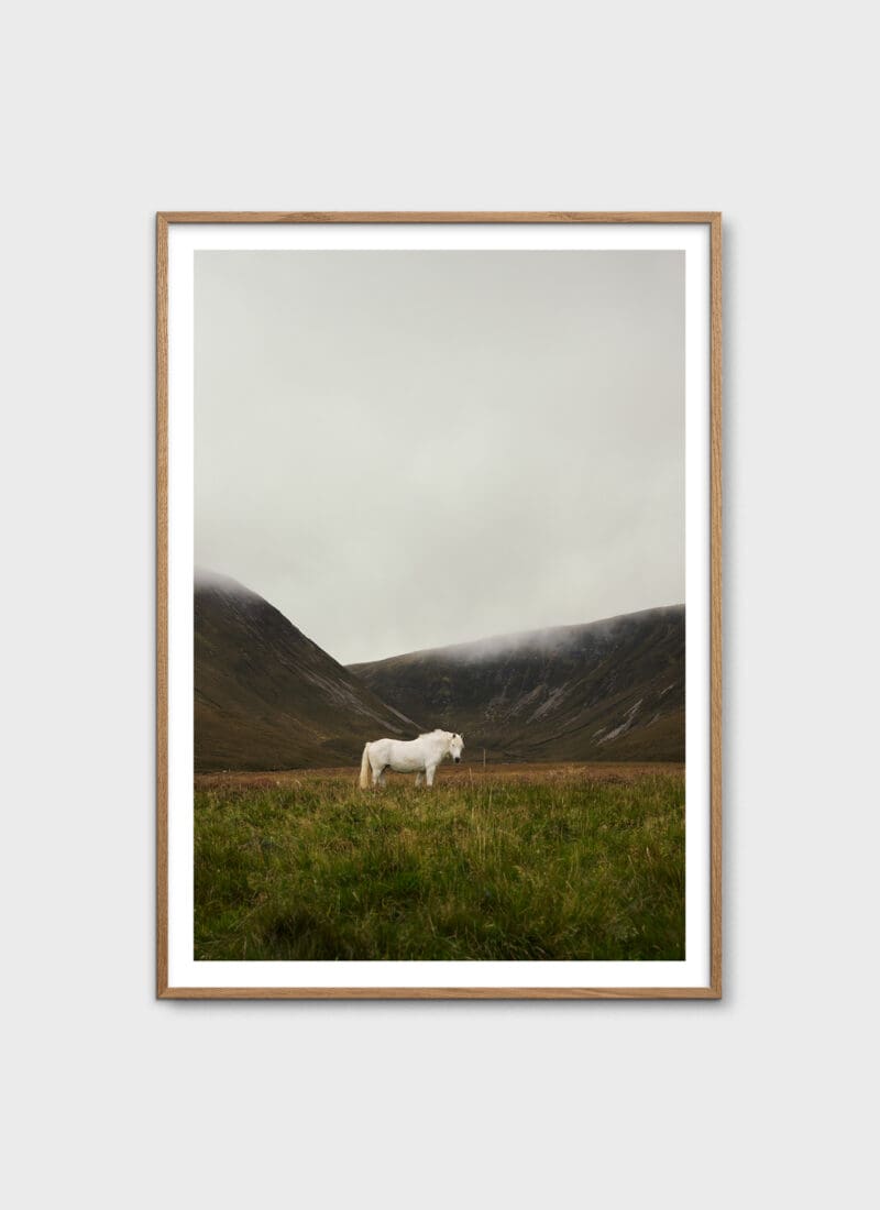 Solitude