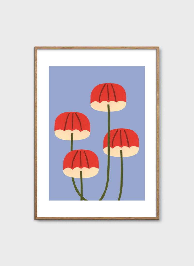 Umbrella Mushrooms